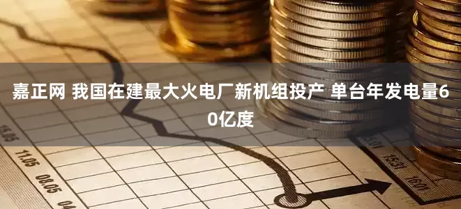 嘉正网 我国在建最大火电厂新机组投产 单台年发电量60亿度