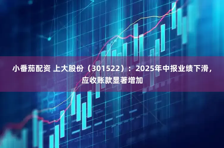 小番茄配资 上大股份（301522）：2025年中报业绩下滑，应收账款显著增加