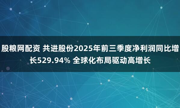 股粮网配资 共进股份2025年前三季度净利润同比增长529.94% 全球化布局驱动高增长