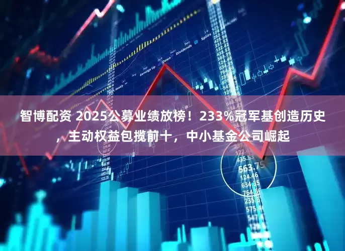 智博配资 2025公募业绩放榜！233%冠军基创造历史，主动权益包揽前十，中小基金公司崛起