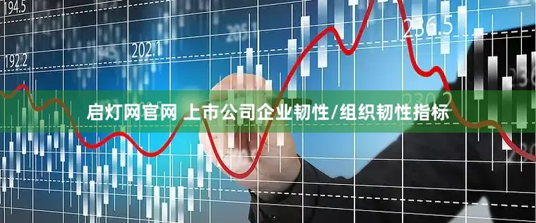 启灯网官网 上市公司企业韧性/组织韧性指标