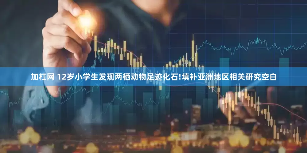 加杠网 12岁小学生发现两栖动物足迹化石!填补亚洲地区相关研究空白